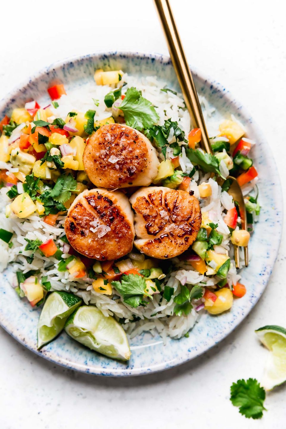 15+ Scallop Recipes