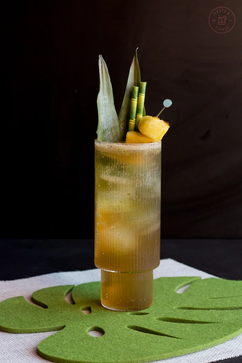 14+ Ginger Ale Cocktail Recipes