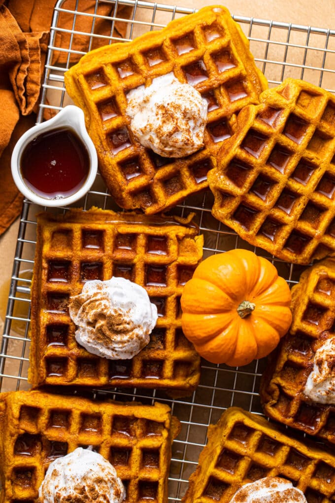 16+ Pumpkin Recipes