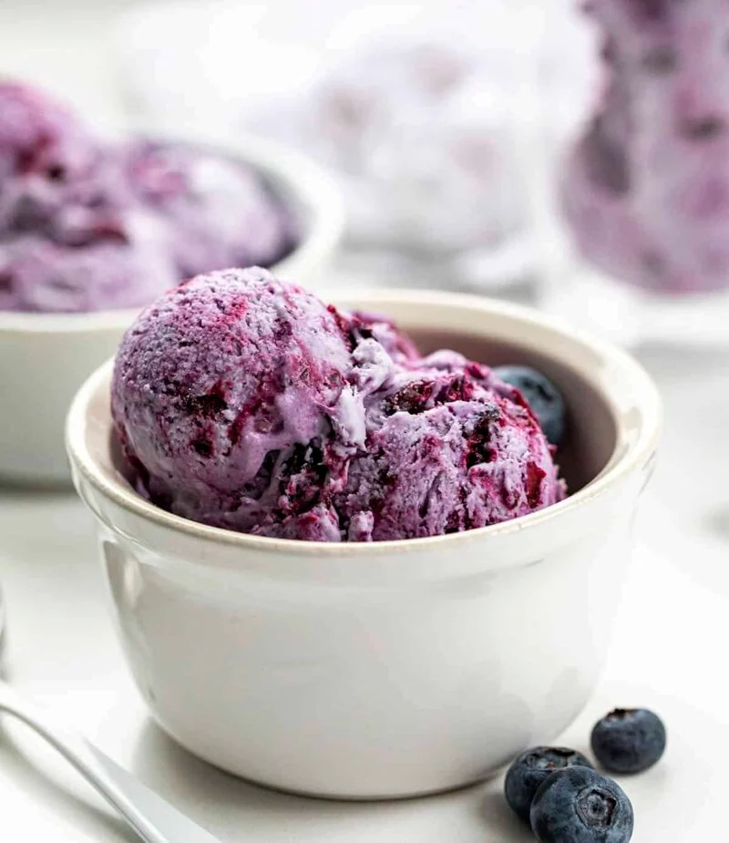 17+ Best Blueberry Recipes